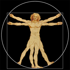 Nardo app icon — the Vitruvian Man